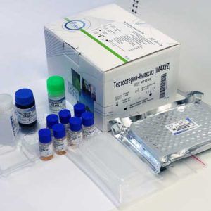 Testostérone-IMAXYZ